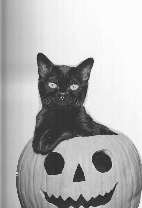 hallowwen