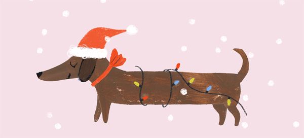 stage de noel